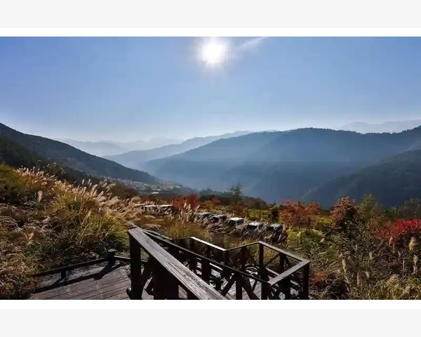 备孕前期，调理身心，迎接健康宝宝