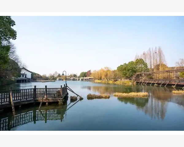 食疗补气补血，滋养身体的自然之道