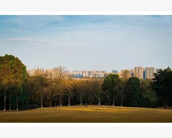 胃胀气胃疼如何调理？